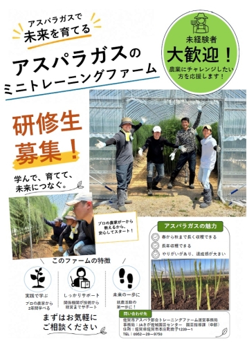 タイトルなし.jpg