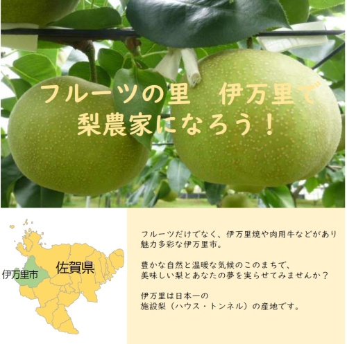 タイトルなし.jpg