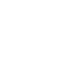 佐賀のお茶